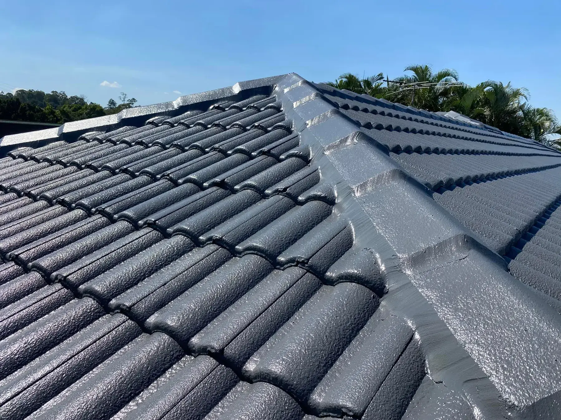 Restored dark grey tile roof in Drewvale